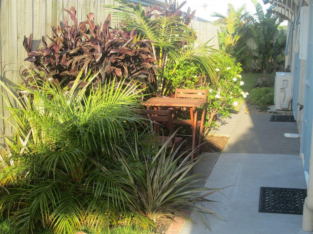 Pipi Dune Bed & Breakfast Whitianga Exterior photo
