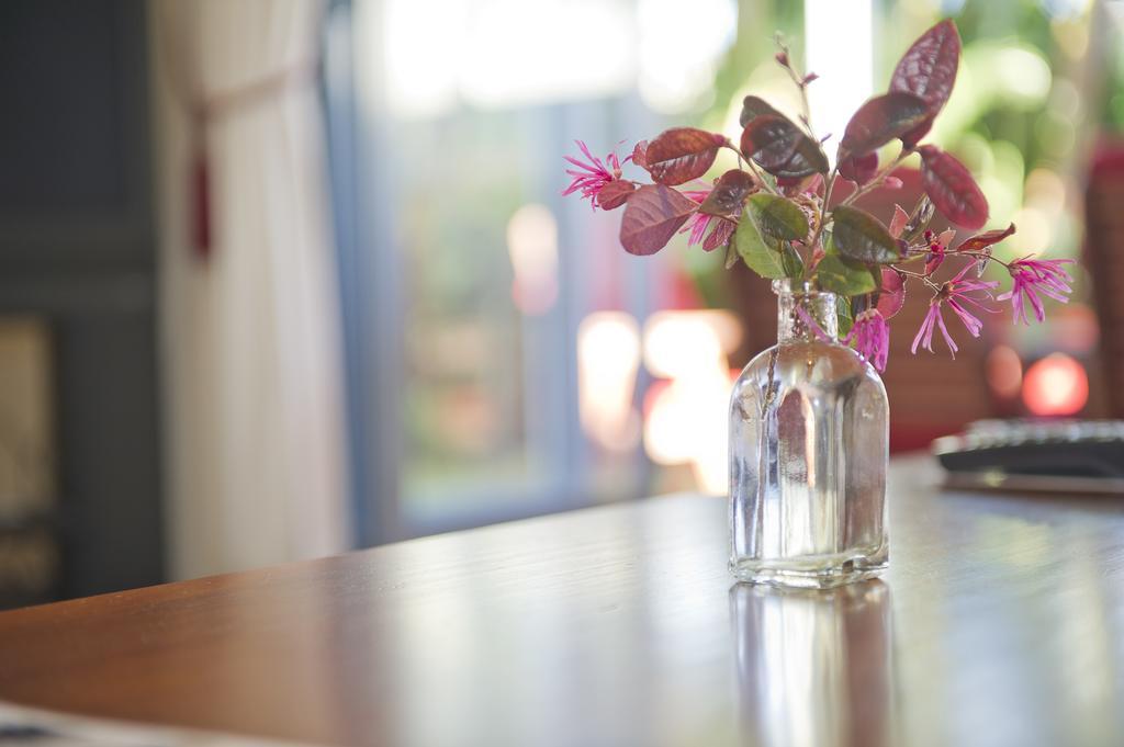 Pipi Dune Bed & Breakfast Whitianga Exterior photo
