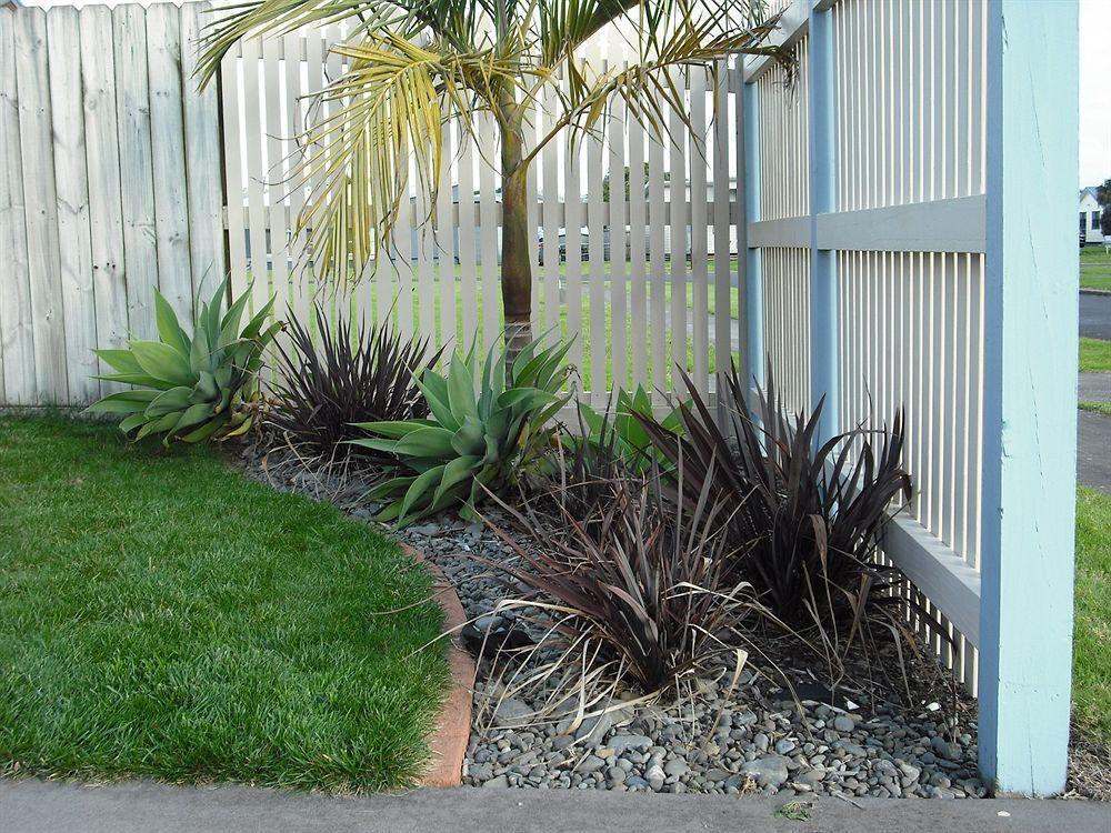 Pipi Dune Bed & Breakfast Whitianga Exterior photo