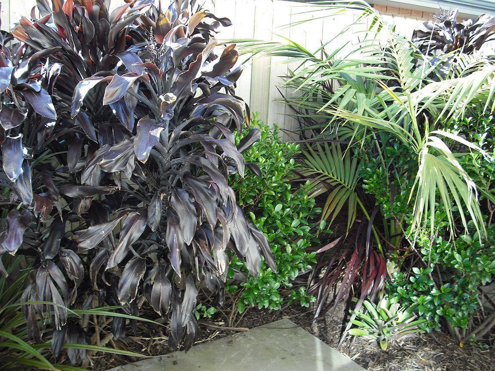 Pipi Dune Bed & Breakfast Whitianga Exterior photo