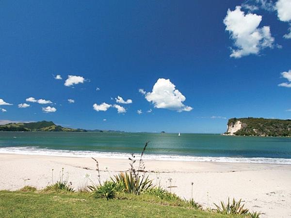 Pipi Dune Bed & Breakfast Whitianga Exterior photo